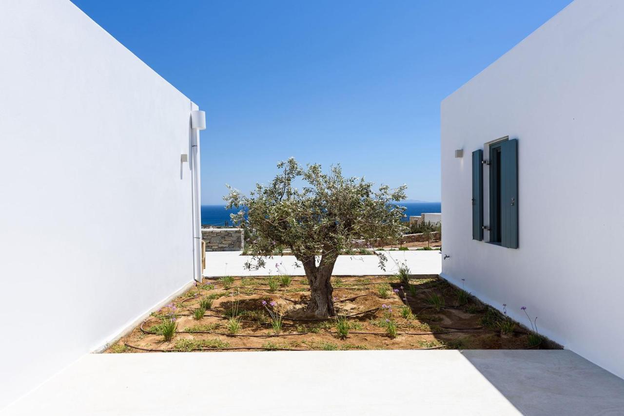Villa Complex White And Rocks Parikia  Ngoại thất bức ảnh